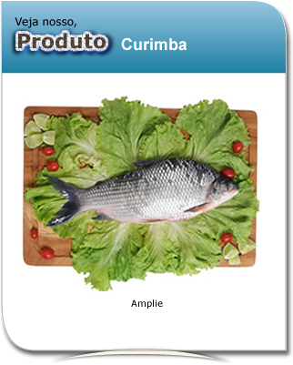 produto_curimba