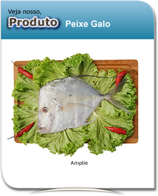 produto_peixe_galo