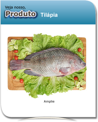 produto_tilapia