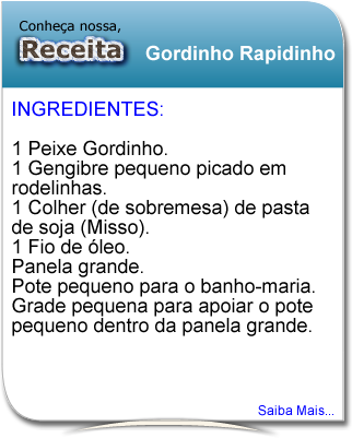 receita_gordinho_rapidinho